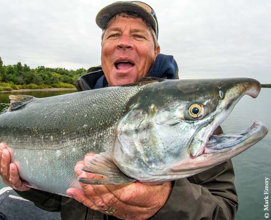 Silver Salmon on the Naknek River